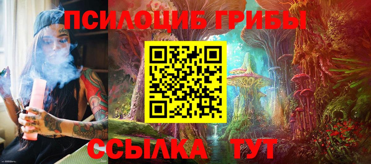 Холмск  Галлюциногенные грибы мухоморы  Вход с VPN 