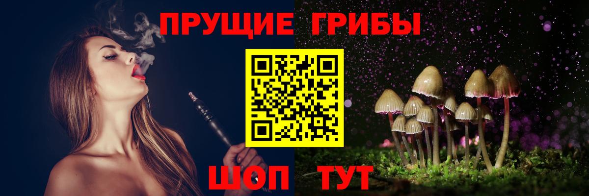Псилоцибиновые грибы Psilocybe Холмск